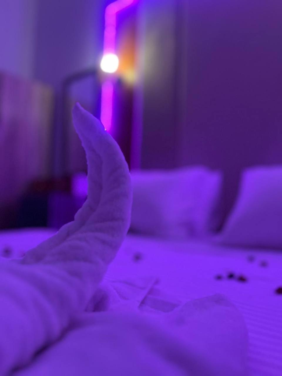 Future Hostel 카이로 외부 사진